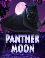 แอ พ ยิง ปลา ที่ต้องลองถ้าไม่อยากพลาด